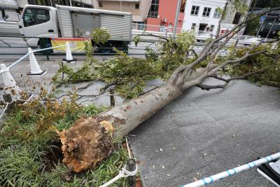 Three Dead, 82 Injured As Typhoon Shanshan Hits Japan