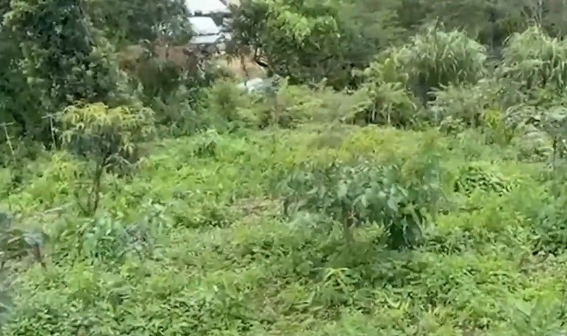 na